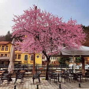 a tree with pink flowers in front of tables and chairs at Center River Apartment in Florina