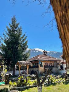 a large wooden house with a tree in front of it at Guest House Rila in Govedartsi