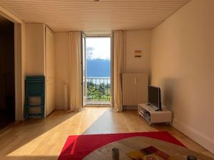 a living room with a television and a large window at La Vigneronne, Lake view in Arlesheim