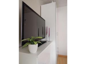 un televisor en un estante blanco con una maceta en Heyne Modern retreat, en Weinböhla