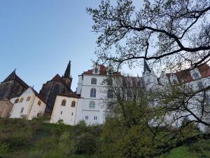 un castillo en la cima de una colina con un árbol en Heyne Modern retreat, en Weinböhla