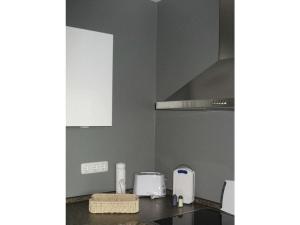 une cuisine avec un comptoir et des appareils électroménagers dans l'établissement Saaleland Apartment 1, à Schleiz