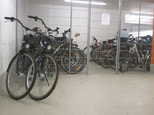 Ποδηλασία στο Reese Uitzicht op de Trave ή στη γύρω περιοχή