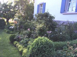 un jardín frente a una casa con flores en Country house dream, en Überlingen