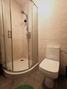 a bathroom with a shower and a toilet at Stradomska 5, apartment Chopin in Krakow