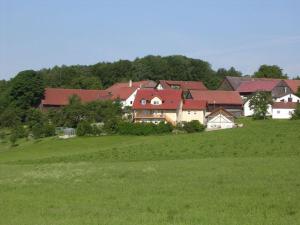 a group of houses in a field of green grass at Kiesenberg 9 Modern retreat in Thanstein
