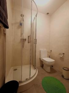 a bathroom with a toilet and a glass shower at Stradomska 5, apartment Chopin in Krakow