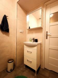 a bathroom with a sink and a shower at Stradomska 5, apartment Chopin in Krakow