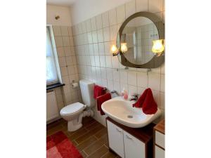 ein Badezimmer mit Waschbecken, Toilette und Spiegel in der Unterkunft Waldhaus Sonnenberg Apartment 4 in Drachselsried