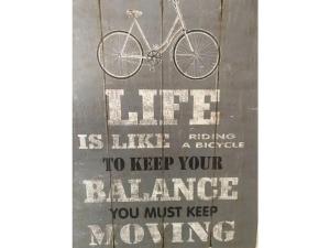 Jízda na kole v ubytování "Laura" Comfortable holiday residence nebo okolí