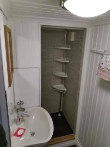 ein Badezimmer mit einem Waschbecken, einem WC und einem Regal in der Unterkunft Torpet in Sollebrunn