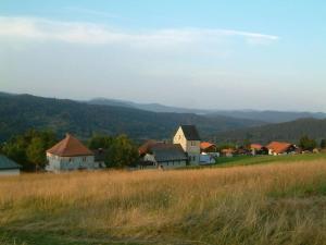 wioska z domami i polem trawy w obiekcie Mitterdorf Modern retreat w mieście Mitterfirmiansreut