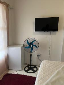 TV a/nebo společenská místnost v ubytování Sunset Guesthouse - Mthatha