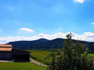 a field with a barn and a tree in the foreground at Holiday apartment Haus Leutner Bavarian Forest in Bodenmais