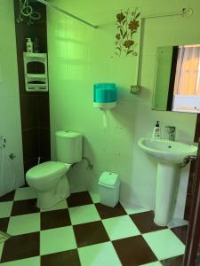 a bathroom with a toilet and a sink at Orchid sur guest house in Sur