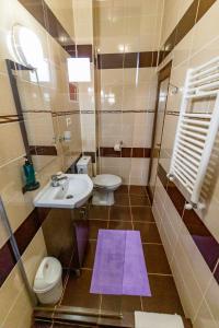 a bathroom with a sink and a toilet at Casa Amelie Mangalia in Mangalia +67 photos