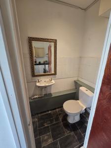 a bathroom with a toilet and a sink and a mirror at Studio next to port, cliffs, with parking in Kent