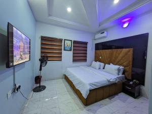 a bedroom with a bed and a television in it at Racvity Homes Limited in Awka