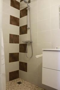 y baño con ducha y azulejos marrones y blancos. en Au Epicéah, logement à la campagne, en Valence