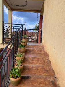 a set of stairs with potted plants on them at Bukoto Private Room in Kampala