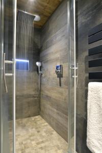 a shower with a glass door in a bathroom at La cabane luxury apartment in the heart of the village in La Grave