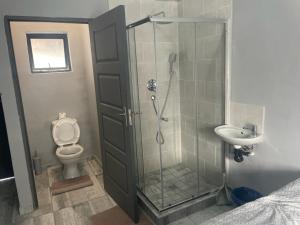 un bagno con doccia, WC e lavandino di OlimG Stays Budget Room1 a East London