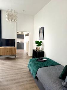 Televízia a/alebo spoločenská miestnosť v ubytovaní Wohnung im Zentrum 1