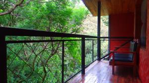 a room with a balcony with a view of trees at Manakin Lodge, Monteverde in Monteverde Costa Rica