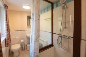a bathroom with a toilet and a glass shower at Beckfoot Chapel Stile - Ambleside in Chapel Stile +19 photos