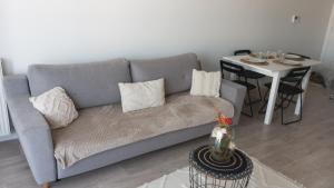 Sala de estar con sofá gris y mesa en Appartement aux portes de Paris, en Villeneuve-la-Garenne