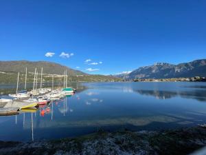 a group of boats are docked on a lake at [Fronte lago]ResidenceGarden, moderno appartamento in Calceranica al Lago