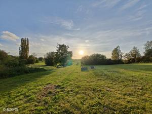 a field with the sun setting in the distance at Glamping Hoeve Thenaers in Gingelom