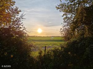 a sunset in a field with trees and a fence at Glamping Hoeve Thenaers in Gingelom