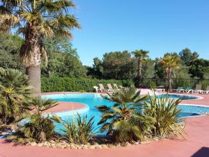a swimming pool with palm trees and lounge chairs at Chalet Agde, 3 pièces, 6 personnes - FR-1-702-63 in Agde