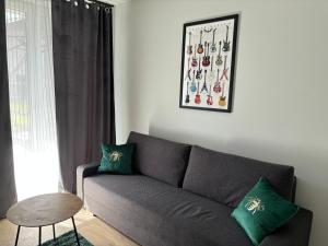 ein Wohnzimmer mit einem grauen Sofa und grünen Kissen in der Unterkunft Apartamenty POSNANIA - MALTA , Faktura VAT, bezkontaktowe zameldowanie, bezpłatne miejsce parkingowe in Posen
