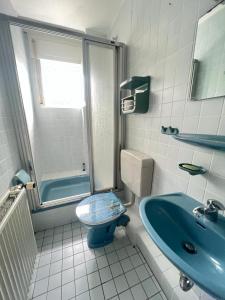 ヴェスターラントにあるHaus Richterのバスルーム(青いシンク、トイレ付)