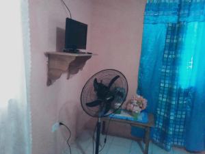 a fan sitting in a room with a tv at Port Antonio Residence in Port Antonio