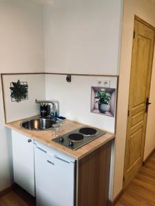 a small kitchen with a sink and a stove at Strasbourg quartier de l’orangerie in Strasbourg
