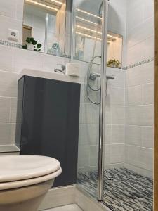 La salle de bains est pourvue d'une douche et de toilettes. dans l'établissement Strasbourg quartier de l’orangerie, à Strasbourg