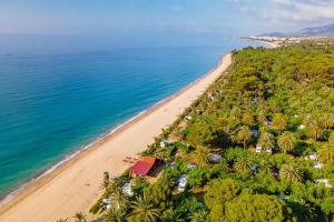 - une vue aérienne sur une plage bordée de palmiers et l'océan dans l'établissement Camping La Torre del Sol - Maeva Vacansoleil, à Miami Platja