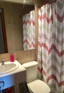 bagno con servizi igienici, lavandino e specchio di Luminosa habitacion con baño privado en el centro de Providencia a Santiago