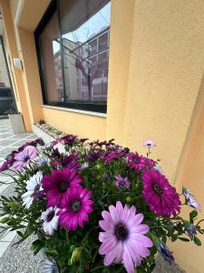 un mazzo di fiori viola e bianchi di fronte a un edificio di Hotel Till a Rimini