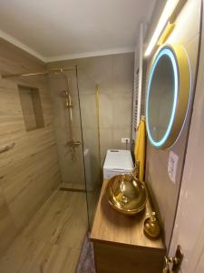 Kúpeľňa v ubytovaní Holiday&wellness house Grofica
