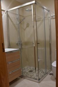 a shower with a glass door in a bathroom at Family House Cup in Tomar