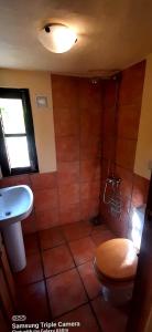 a bathroom with a shower and a toilet and a sink at Adobe Getaway with 'private plunge pool' in Viñuela