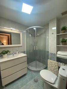 a bathroom with a shower and a toilet and a sink at LA LUZ DEL ARBEYAL L&G in Gijón