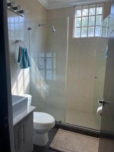 a bathroom with a shower with a toilet and a sink at MM NAPA VILLAGE in Río Hato