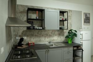 Kuchyň nebo kuchyňský kout v ubytování Vitti Apartment