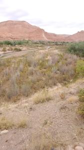 un terrain ouvert avec de l'herbe et des buissons dans le désert dans l'établissement Kasbah Tialouite, à Kelaat-M'Gouna