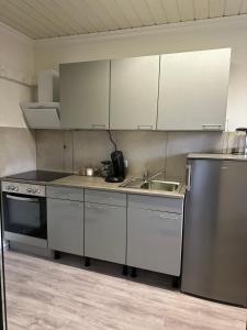 a kitchen with stainless steel appliances and a sink at Ferienwohnung Steinebach in Steinebach +8 photos